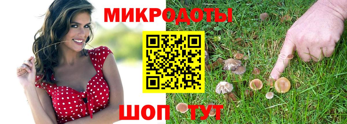 Псилоцибиновые грибы прущие грибы Холмск