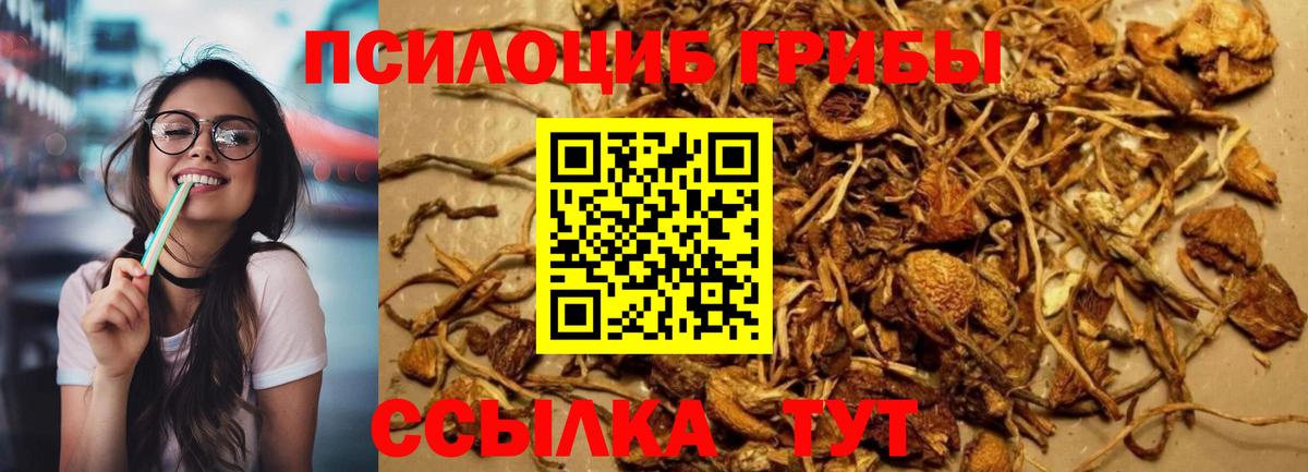 Галлюциногенные грибы Psilocybine cubensis  Вход с VPN  Холмск 